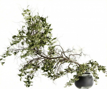 Modern Potted Green Plant-ID:553899057