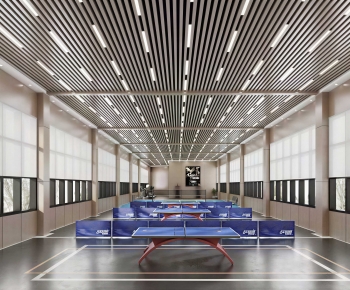 Modern Table Tennis Arena-ID:543003085