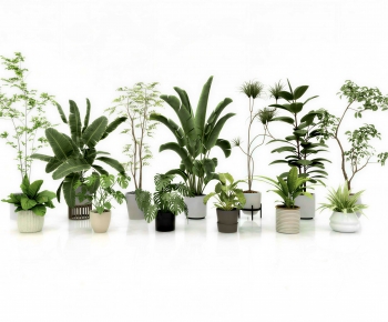 Modern Ground Green Plant Potted Plants-ID:891171931