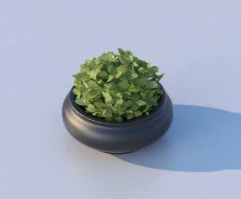 Modern Potted Green Plant-ID:283988005