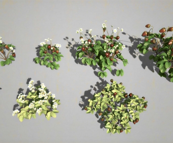Modern Shrubbery-ID:568156963