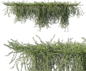 Modern Vine-ID:179670101