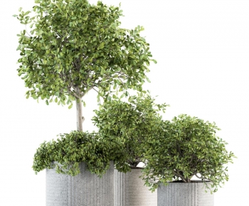 Modern Ground Green Plant Potted Plants-ID:381100275