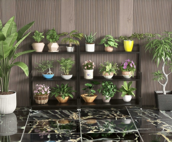 Modern Potted Green Plant-ID:513812074