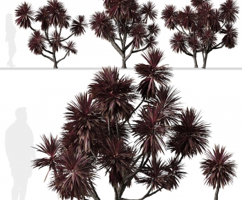 Modern Tree-ID:104036095