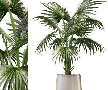 Modern Ground Green Plant Potted Plants-ID:485929972