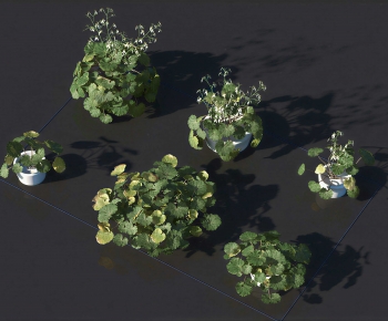 Modern Shrubbery-ID:687131889