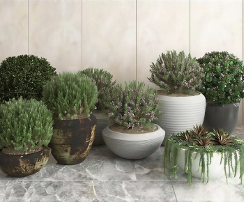 Modern Ground Green Plant Potted Plants-ID:865273006