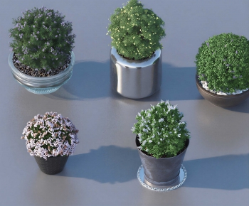 Modern Ground Green Plant Potted Plants-ID:725286969