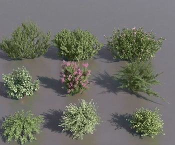 Modern Shrubbery-ID:928638949