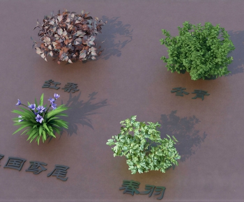 Modern Shrubbery-ID:134176977