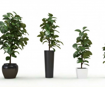 Modern Ground Green Plant Potted Plants-ID:819274906