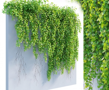 Modern Vine-ID:817135102