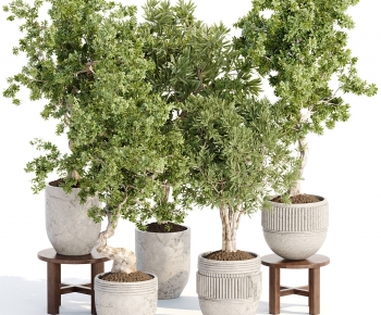 Modern Ground Green Plant Potted Plants-ID:934664964