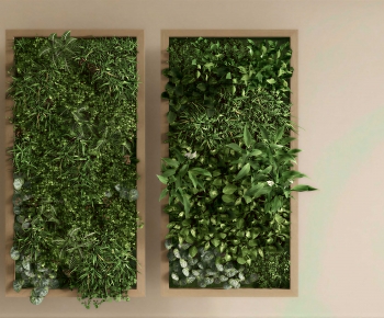 Modern Plant Wall-ID:401228903