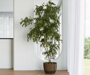 Modern Ground Green Plant Potted Plants-ID:141712902