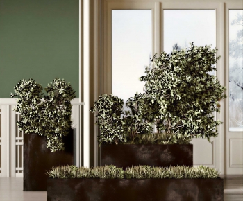 Modern Flower Bed, Flower Bowl, Flower Box-ID:687755118