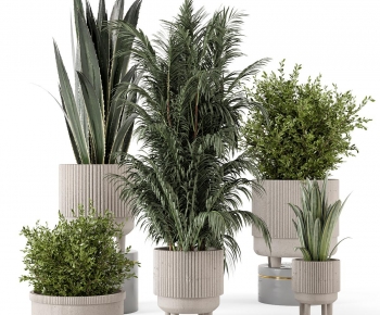 Modern Ground Green Plant Potted Plants-ID:921225071