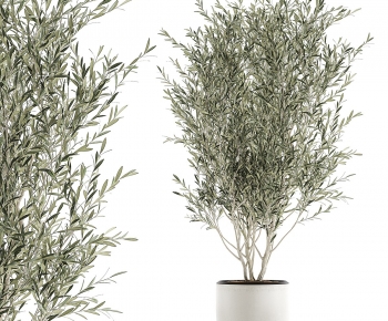Modern Ground Green Plant Potted Plants-ID:511265995