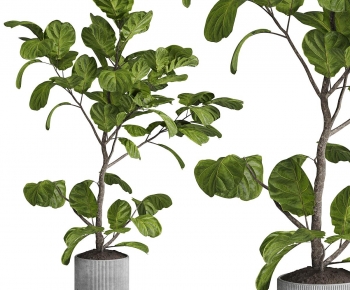 Modern Ground Green Plant Potted Plants-ID:487470687