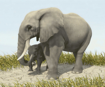 Modern Mammal-ID:858747965