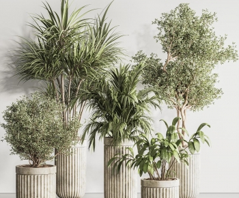 Modern Ground Green Plant Potted Plants-ID:898926028