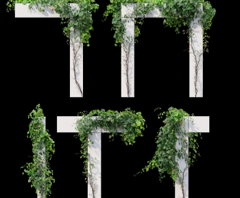Modern Vine-ID:824868928