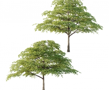 Modern Tree-ID:690248972