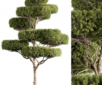 Modern Tree-ID:411608938