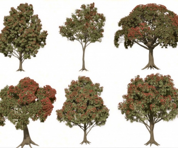 Modern Tree-ID:581769947
