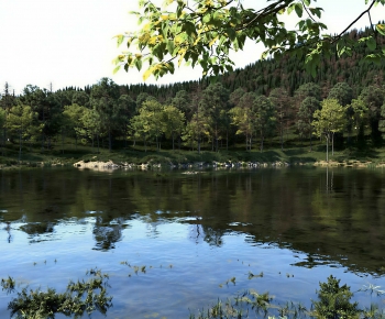 Modern Landscape-ID:274349939