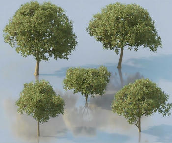 Modern Tree-ID:221029042