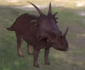 Modern Other Animals-ID:849153046