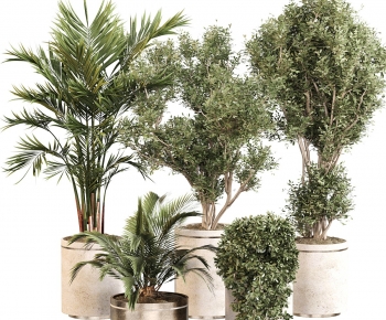 Modern Ground Green Plant Potted Plants-ID:734347118
