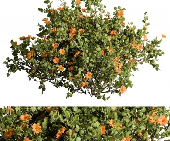 Modern Shrubbery-ID:223530051