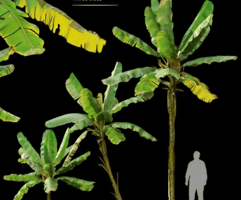 Modern Tree-ID:289080133