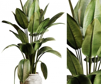 Modern Ground Green Plant Potted Plants-ID:848782067