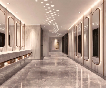 Modern Public Toilet-ID:248758089