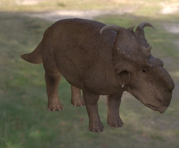 Modern Other Animals-ID:634179125