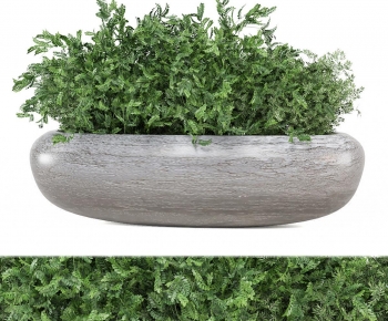 Modern Flower Bed, Flower Bowl, Flower Box-ID:636455064