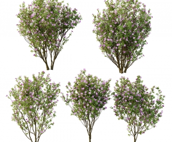 Modern Tree-ID:770551923