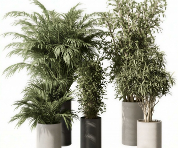 Modern Ground Green Plant Potted Plants-ID:788336995