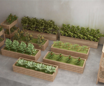 Modern Crop-ID:475440034