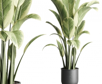 Modern Ground Green Plant Potted Plants-ID:316863066