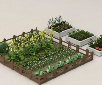 Modern Crop-ID:809943919
