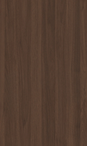ModernWood Texture