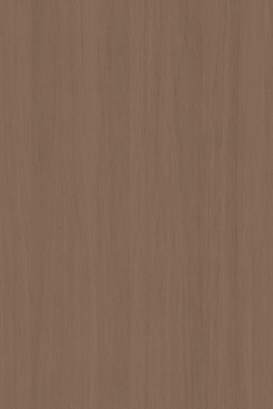 ModernWood Texture