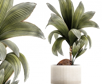 Modern Ground Green Plant Potted Plants-ID:989464048