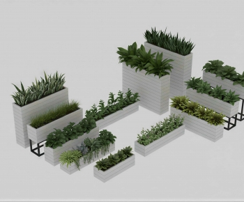 Modern Flower Bed, Flower Bowl, Flower Box-ID:234769113