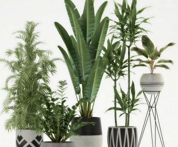 Modern Ground Green Plant Potted Plants-ID:507477053